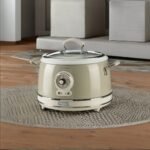 🍚 Guide & Review : Quel Cuiseur à Riz choisir en France pour un Riz Parfait ? (Avis 2025)